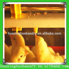 plastic poultry feeder and drinker for broiler